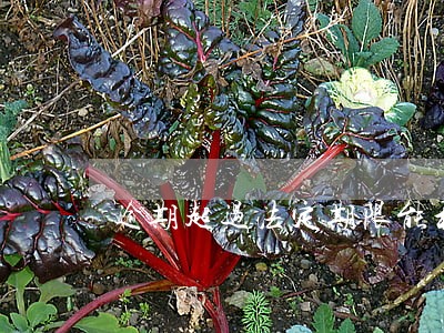 逾期超过法定期限能和解吗 逾期超过法定期限能和解吗