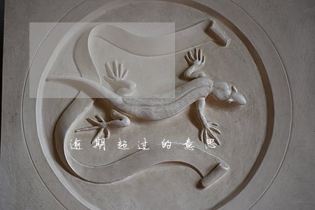 逾期超过的意思 逾期超过的意思