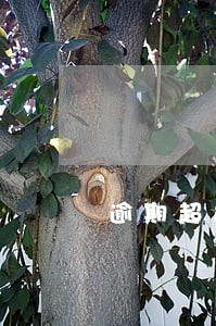 逾期超过过90天征信 逾期超过过90天征信