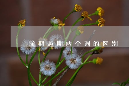 逾期越期两个词的区别 逾期越期两个词的区别