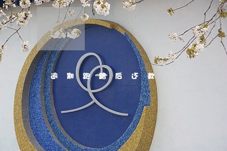 逾期跑路后还款 逾期跑路后还款