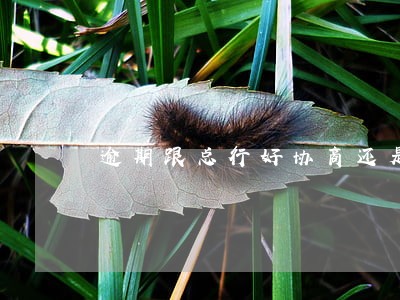 逾期跟总行好协商还是分行 逾期跟总行好协商还是分行