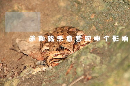 逾期跟恶意套现哪个影响大 逾期跟恶意套现哪个影响大