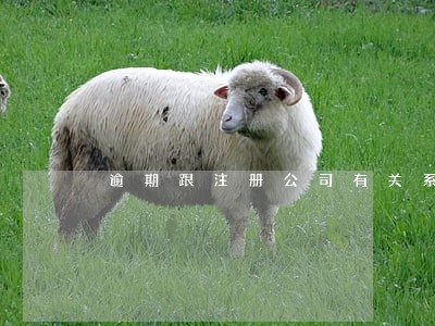 逾期跟注册公司有关系吗 逾期跟注册公司有关系吗