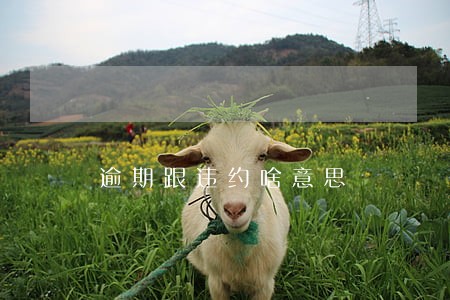 逾期跟违约啥意思 逾期跟违约啥意思