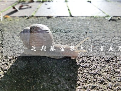逾期跟金额大小有关系吗 逾期跟金额大小有关系吗