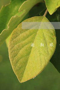逾期跟金额有关系吗 逾期跟金额有关系吗