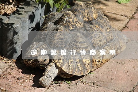 逾期跟银行协商案例 逾期跟银行协商案例