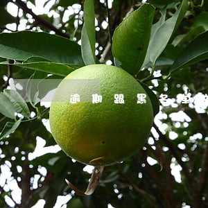 逾期跟黑名单关系 逾期跟黑名单关系