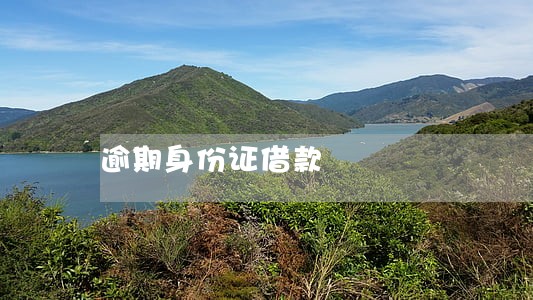 逾期身份证借款 逾期身份证借款