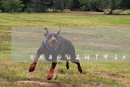 逾期身份证冻结了可以办结婚证吗 逾期身份证冻结了可以办结婚证吗