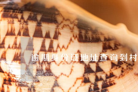 逾期身份证地址查询到村 逾期身份证地址查询到村