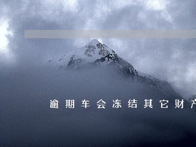 逾期车会冻结其它财产吗 逾期车会冻结其它财产吗