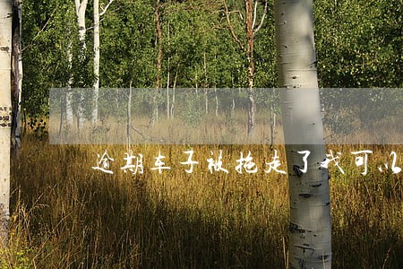 逾期车子被拖走了我可以注销吗 逾期车子被拖走了我可以注销吗