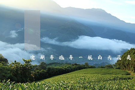 逾期车拖车一般白天还是晚上 逾期车拖车一般白天还是晚上
