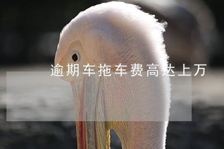 逾期车拖车费高达上万 逾期车拖车费高达上万