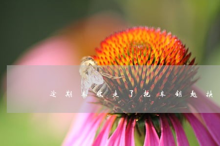 逾期车收走了把车钥匙换了谁赔偿 逾期车收走了把车钥匙换了谁赔偿