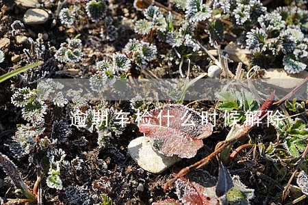 逾期车检什么时候解除