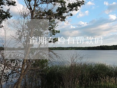 逾期车检有罚款吗 逾期车检有罚款吗