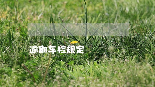 逾期车检规定 逾期车检规定