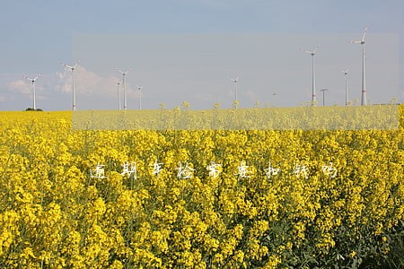 逾期车检需要扣钱吗 逾期车检需要扣钱吗