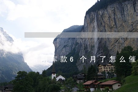 逾期车款6个月了怎么催收 逾期车款6个月了怎么催收