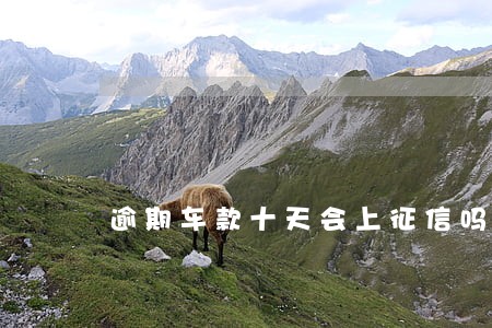 逾期车款十天会上征信吗 逾期车款十天会上征信吗