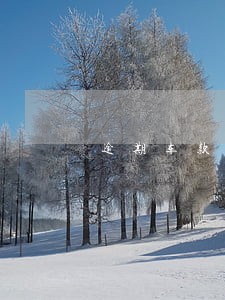 逾期车款已结清 逾期车款已结清