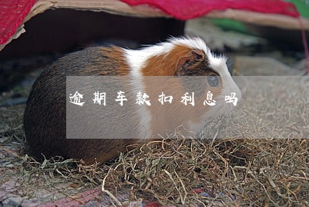 逾期车款扣利息吗 逾期车款扣利息吗