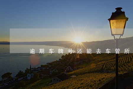 逾期车牌号还能去车管所办理吗 逾期车牌号还能去车管所办理吗