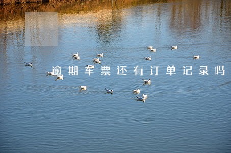 逾期车票还有订单记录吗 逾期车票还有订单记录吗