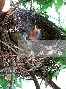 逾期车能办停驶吗 逾期车能办停驶吗