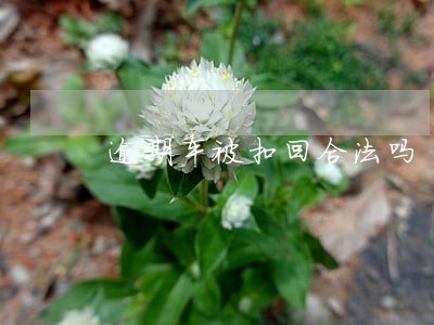 逾期车被扣回合法吗 逾期车被扣回合法吗