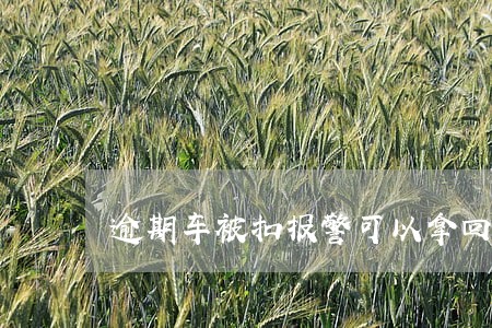 逾期车被扣报警可以拿回来么 逾期车被扣报警可以拿回来么