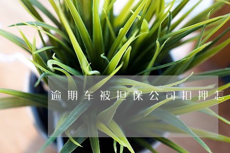 逾期车被担保公司扣押怎么处理 逾期车被担保公司扣押怎么处理