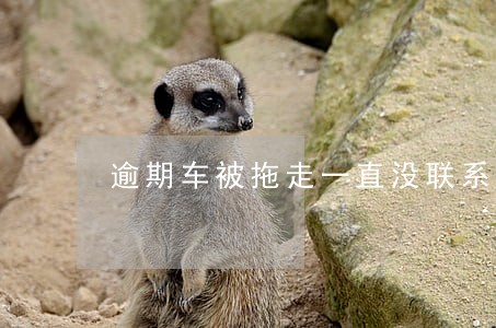 逾期车被拖走一直没联系我 逾期车被拖走一直没联系我