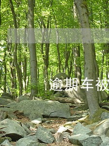 逾期车被拖走后处理流程 逾期车被拖走后处理流程