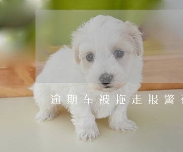 逾期车被拖走报警有用吗