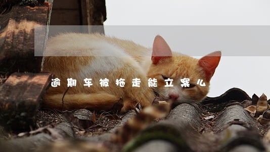 逾期车被拖走能立案么