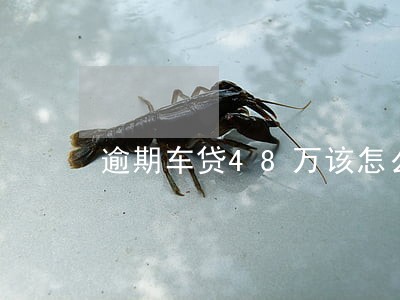 逾期车贷48万该怎么办 逾期车贷48万该怎么办