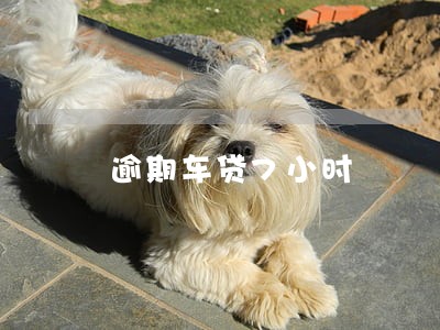 逾期车贷7小时 逾期车贷7小时
