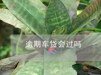 逾期车贷会过吗 逾期车贷会过吗