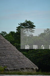 逾期车贷呆账怎么处理 逾期车贷呆账怎么处理
