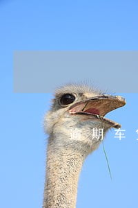 逾期车贷必须一次还清吗 逾期车贷必须一次还清吗