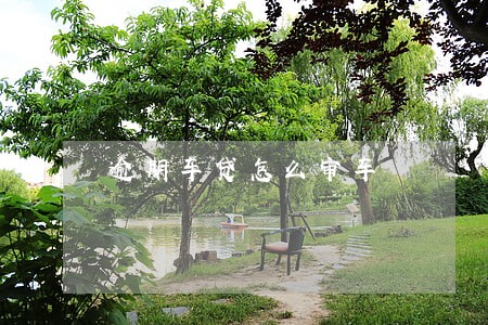 逾期车贷怎么审车 逾期车贷怎么审车