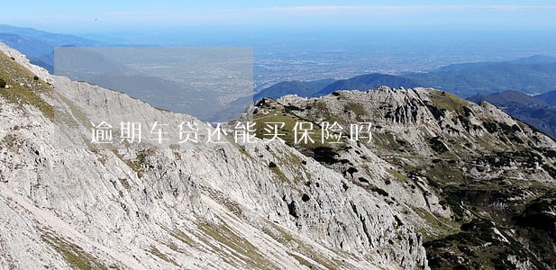 逾期车贷还能买保险吗 逾期车贷还能买保险吗
