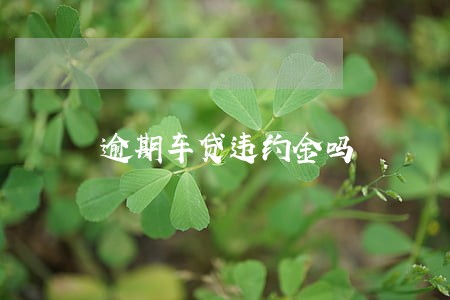 逾期车贷违约金吗 逾期车贷违约金吗