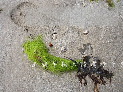 逾期车辆上路有啥后果