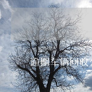 逾期车辆回收公司 逾期车辆回收公司