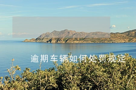 逾期车辆如何处罚规定 逾期车辆如何处罚规定